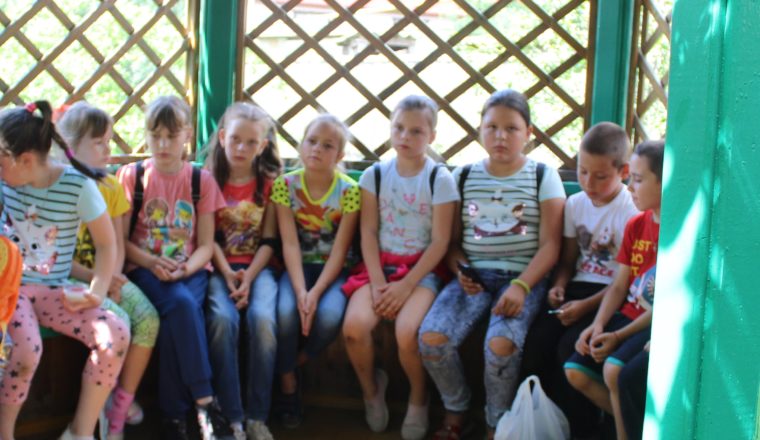 Сотрудники музея А. И. Куприна провели для детей игровую программу «Во саду, в огороде».