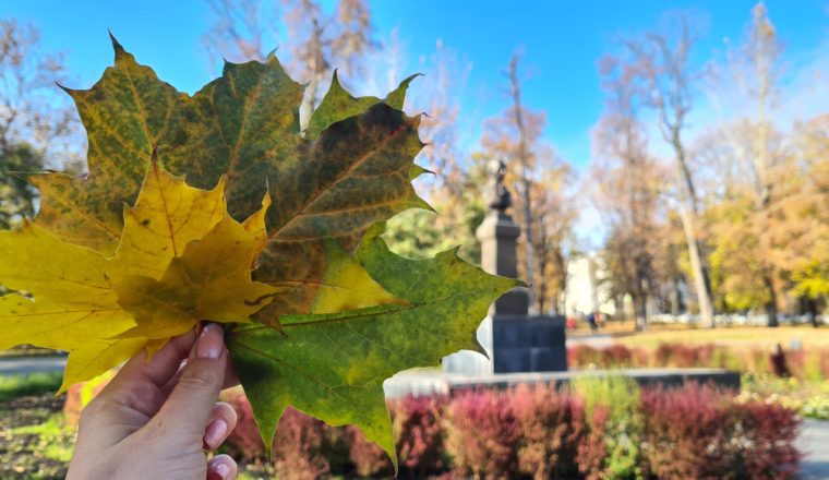 Литературный музей приглашает отметить день рождения М.Ю.Лермонтова