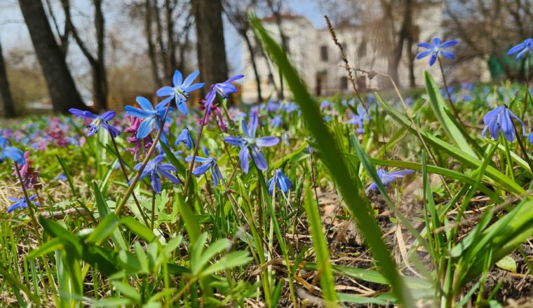 Началась активная подготовка к Белинской весне