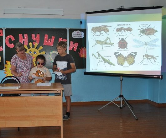 С музеем А.Н. Радищева говорят о полезных и опасных растениях и насекомых