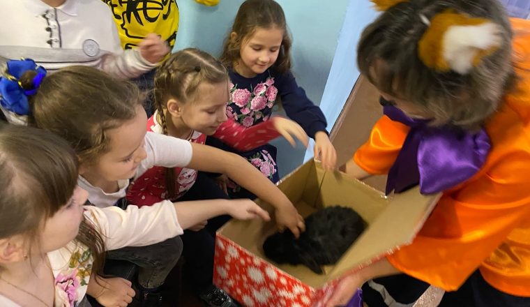 В музее А.И. Куприна продолжается череда новогодних представлений