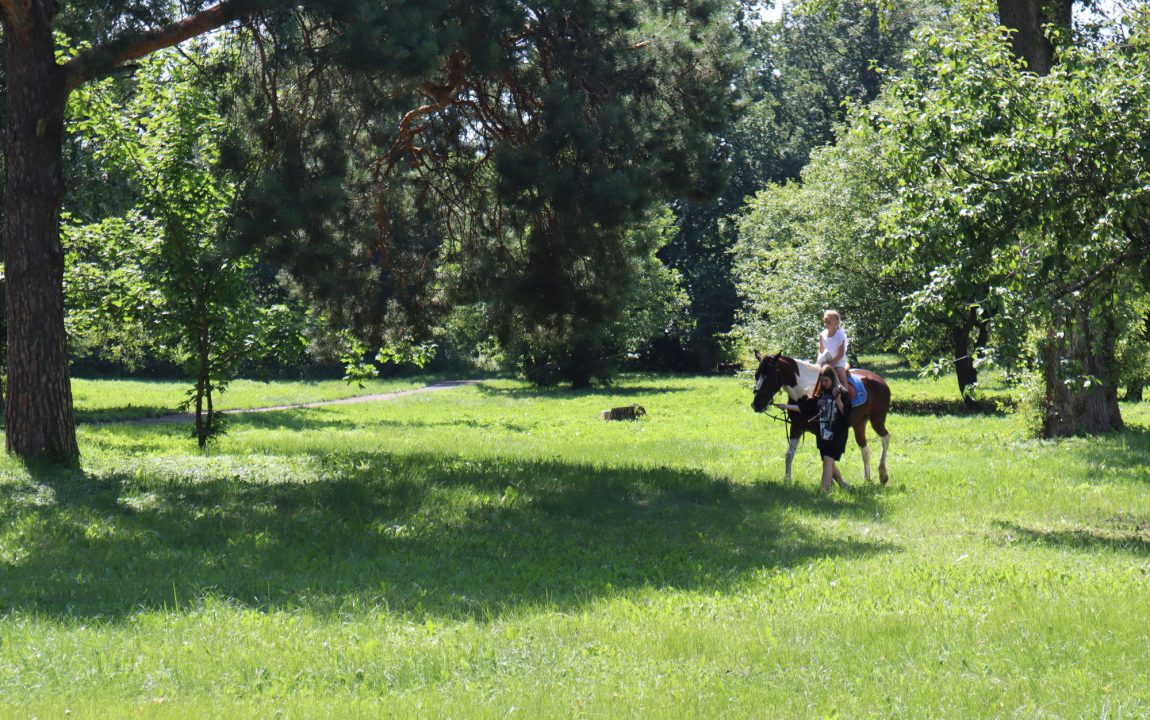 “ТИХВИНСКАЯ ЯРМАРКА” СОБИРАЕТ В РАДИЩЕВО ВСЁ БОЛЬШЕ ЛЮДЕЙ