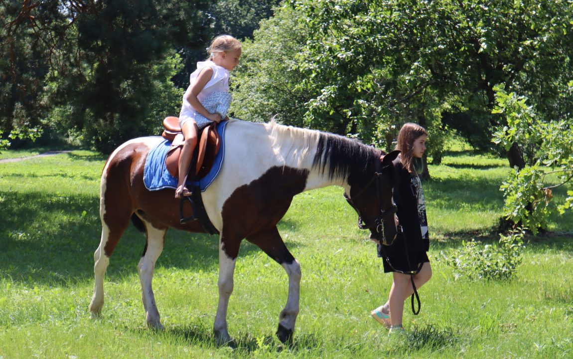 “ТИХВИНСКАЯ ЯРМАРКА” СОБИРАЕТ В РАДИЩЕВО ВСЁ БОЛЬШЕ ЛЮДЕЙ
