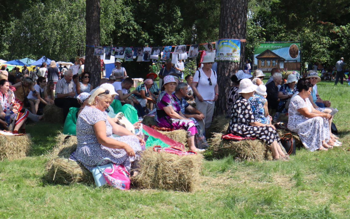“ТИХВИНСКАЯ ЯРМАРКА” СОБИРАЕТ В РАДИЩЕВО ВСЁ БОЛЬШЕ ЛЮДЕЙ