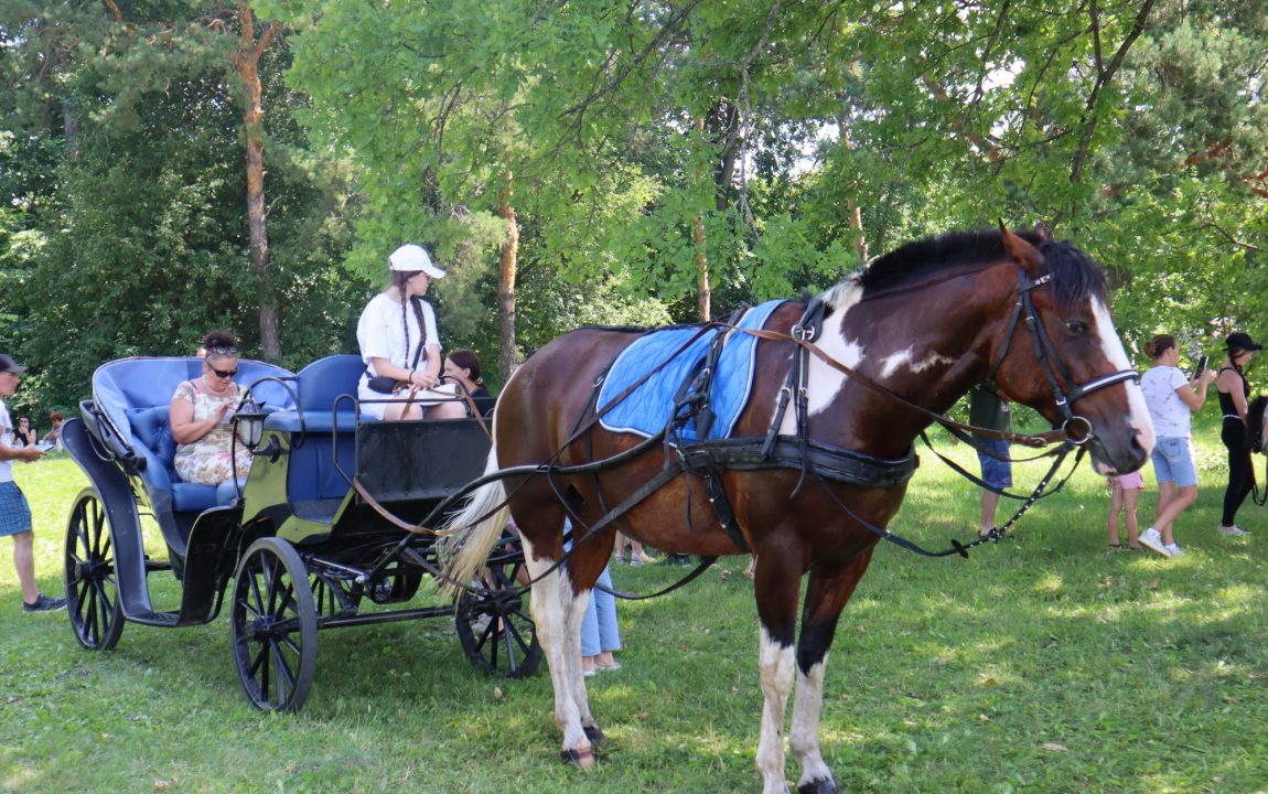 “ТИХВИНСКАЯ ЯРМАРКА” СОБИРАЕТ В РАДИЩЕВО ВСЁ БОЛЬШЕ ЛЮДЕЙ