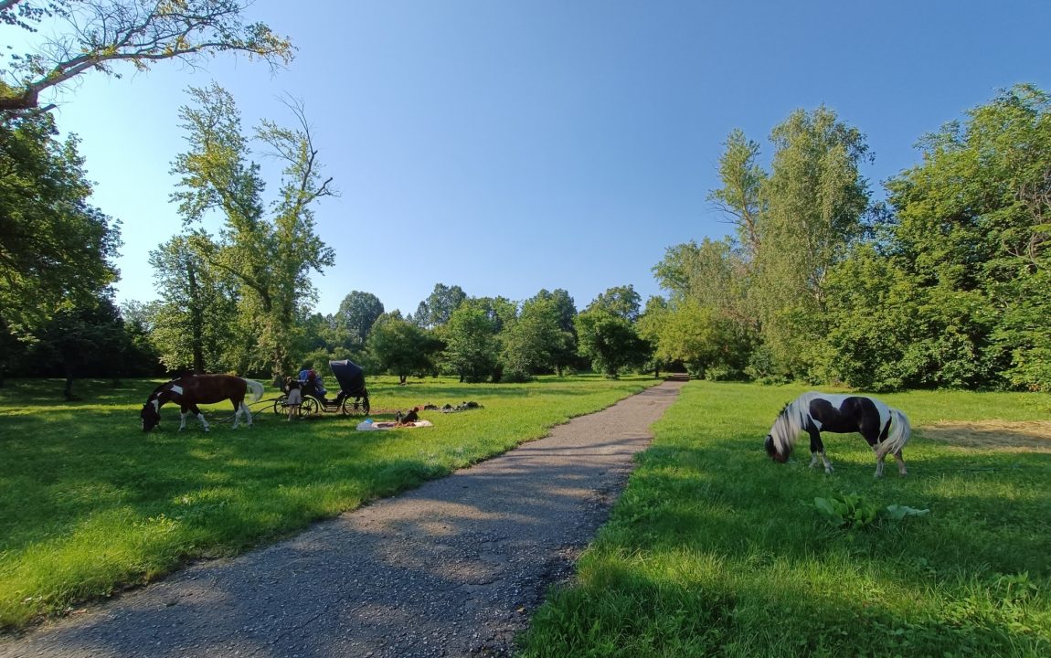 “ТИХВИНСКАЯ ЯРМАРКА” СОБИРАЕТ В РАДИЩЕВО ВСЁ БОЛЬШЕ ЛЮДЕЙ