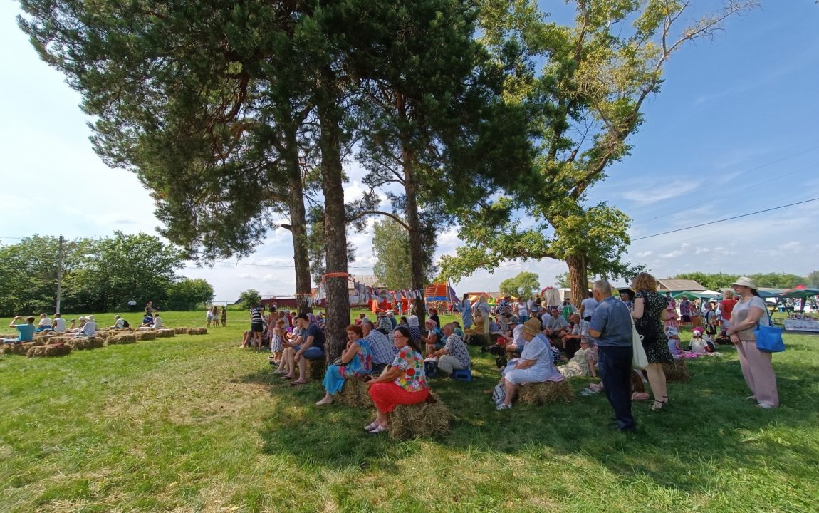 “ТИХВИНСКАЯ ЯРМАРКА” СОБИРАЕТ В РАДИЩЕВО ВСЁ БОЛЬШЕ ЛЮДЕЙ