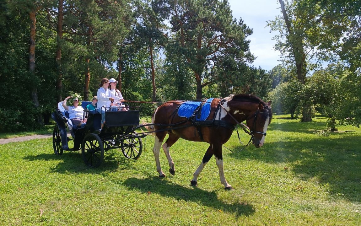 “ТИХВИНСКАЯ ЯРМАРКА” СОБИРАЕТ В РАДИЩЕВО ВСЁ БОЛЬШЕ ЛЮДЕЙ