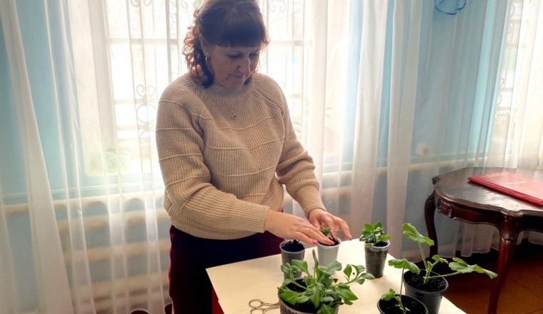 День посадки цветов в музее А.И. Куприна