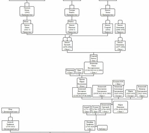 В год Семьи  — о семье Белинских
