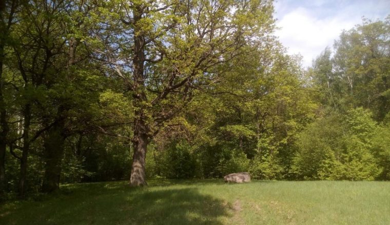 Приглашаем в мини-путешествие по окрестностям г. Белинского