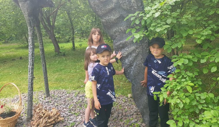 «Сладкое дерево» – квест-игра в музее В.Г. Белинского