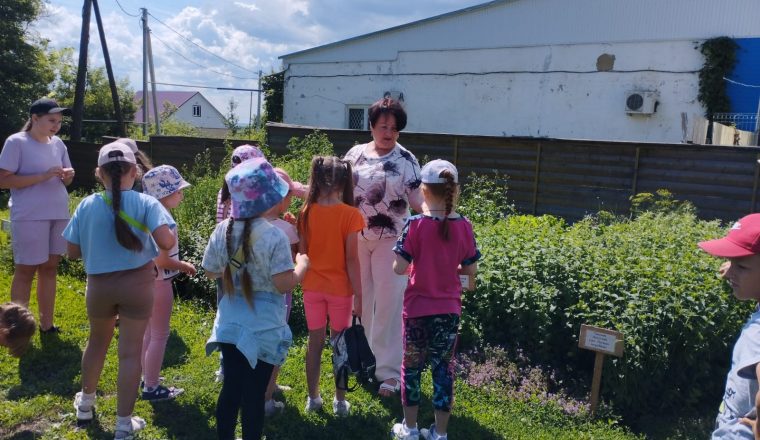 «О растениях, во врачестве употребляемых» — фитоэкскурсия в музее В.Г. Белинского