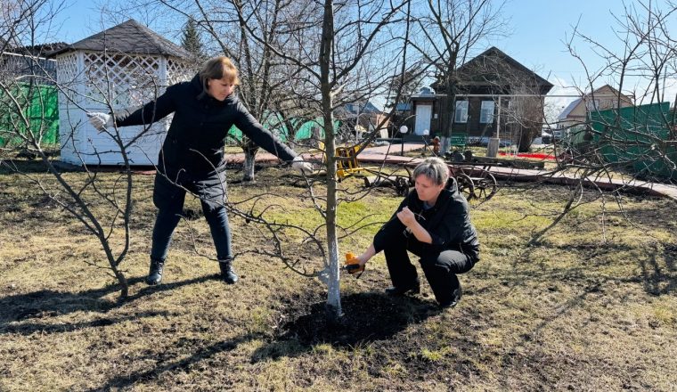 Сотрудники музея А.И. Куприна проводят работы по благоустройству территории
