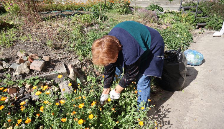 Пензенский литературный музей присоединился к санитарной пятнице