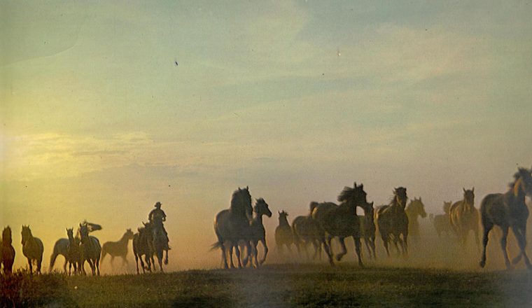 «Слово о Куприне». К 155-летию со дня рождения писателя. Новости от хранителей